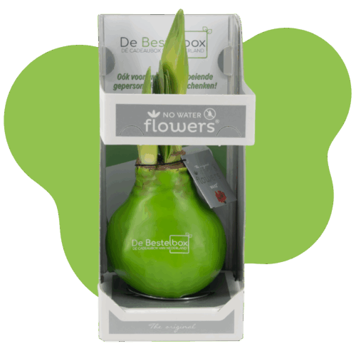 Foto's dag vna de zorg pagina (1) Foto's dag vna de zorg pagina (1)