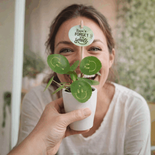 Dag van de Zorg cadeau voor ziekenhuizen, VVT en thuiszorg